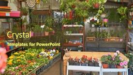  Presentation with colorful flower - Presentation theme consisting of colorful-variety-of-plants background and a tawny brown colored foreground