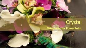  Presentation with wedding peach - Slides enhanced with young handsome bearded sexy christmas man in red santa claus hat and coat with muscular bare torso sitting on windowsill and holding glass of alcoholic cocktails on black and brick wall background background and a tawny brown colored foreground.