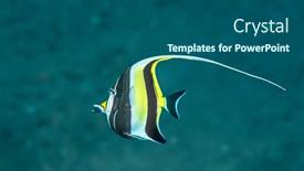  Presentation with black yellow - PPT theme featuring colorful-yellow-and-black-moorish background and a ocean colored foreground