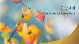  Presentation with autumn leaves - Theme enhanced with colorful-yellow-leaves-in-autumn background and a light blue colored foreground