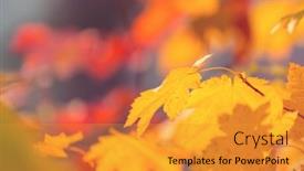  Presentation with autumn leaves - PPT theme consisting of colorful-yellow-leaves-in-autumn background and a gold colored foreground