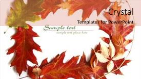  Presentation with colorful first birthday frame - Presentation design enhanced with colorfull autumn leaves frame isolated background and a coral colored foreground