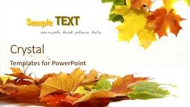  Presentation with autumn leaves - Presentation theme with colorfull autumn leaves background and a cream colored foreground
