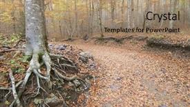 Presentation with trees - Beautiful slides featuring colorfull leafe - autumnal beech trees backdrop and a  colored foreground