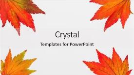  Presentation with autumn leaves - Audience pleasing theme consisting of colorfull leafe - colorful autumn leaves backdrop and a white colored foreground