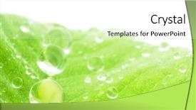  Presentation with water droplets - Slides with colorfull leafe - macro of water droplets background and a white colored foreground
