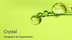  Presentation with water droplets - Colorful slide deck enhanced with colorfull leafe - water droplets on a green backdrop and a  colored foreground