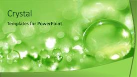  Presentation with water rain drop hanging on a fresh green leaf - Presentation theme having colorfull leafe - waterdrops on green leaf shallow background and a yellow colored foreground