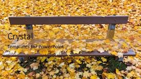  Presentation with multicolored autumn leaves orange yellow red - Cool new presentation theme with colorfull leafe - yellow autumn leaves have fallen backdrop and a gold colored foreground