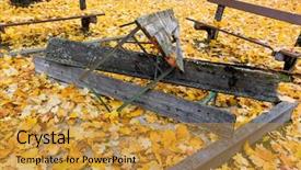  Presentation with autumn leaves - Colorful slide deck enhanced with colorfull leafe - yellow autumn leaves backdrop and a  colored foreground