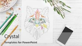  Presentation with anti stress - PPT layouts with coloring anti stress picture background and a  colored foreground