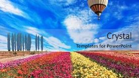  Presentation with broad - Presentation theme having colors - red claret and pink background and a light blue colored foreground