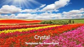  Presentation with export - Audience pleasing slide set consisting of colors - red yellow and pink backdrop and a  colored foreground