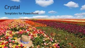  Presentation with bright yellow - PPT layouts consisting of colors - red yellow and pink background and a  colored foreground