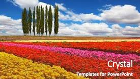  Presentation with broad - Slide deck consisting of colors - red yellow and pink background and a crimson colored foreground