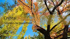  Presentation with multicolored autumn leaves orange yellow red - Audience pleasing presentation theme consisting of colors of early autumn red backdrop and a  colored foreground