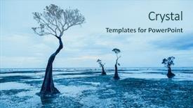  Presentation with tints - Slides having colors sumba island indonesia ideal background and a sky blue colored foreground