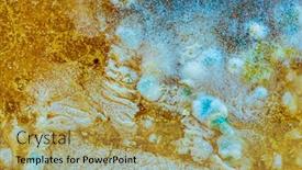  Presentation with mold - Audience pleasing PPT layouts consisting of colorul-mold-texture-macro-mold backdrop and a yellow colored foreground
