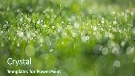  Presentation with rainy days season wet green - Theme featuring colourful backrounds - wet green grass with dew background and a  colored foreground