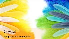  Presentation with brazil carnival - Presentation design consisting of colourful brazil - colored feathers on white background background and a yellow colored foreground