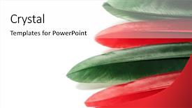  Presentation with brazil carnival - Slide deck with colourful brazil - colored feathers on white background background and a white colored foreground