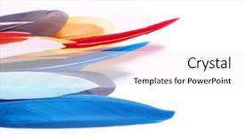  Presentation with brazil carnival - PPT layouts with colourful brazil - colored feathers on white background background and a white colored foreground