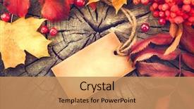  Presentation with colourful wood - Amazing presentation design having colourful leaves over wood thanksgiving backdrop and a coral colored foreground