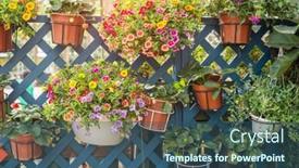  Presentation with flowers - Slide deck enhanced with colourful-petunia-flowers-hanging background and a ocean colored foreground