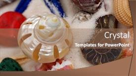  Presentation with seashell - Amazing presentation theme having colourful-stones-starfishes backdrop and a coral colored foreground