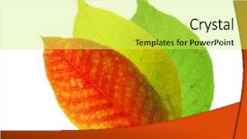  Presentation with rasta colours - Amazing slides having rasta colours - three autumn's leafs backdrop and a  colored foreground