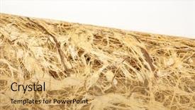  Presentation with lace design - Cool new slides with columbian and meso-american time backdrop and a yellow colored foreground