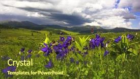  Presentation with blue mountain - Amazing slide deck having columbine - high mountain field with blue backdrop and a  colored foreground