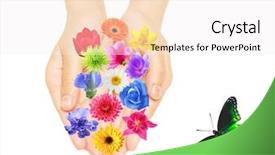  Presentation with two people holding hands - Amazing PPT theme having columbine - two hands holding colorful flowers backdrop and a sky blue colored foreground