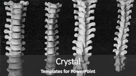  Presentation with breast - Slide deck enhanced with columns - comparative table of the vertebral background and a dark gray colored foreground