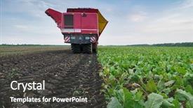  Presentation with sugar - Slide deck enhanced with combine harvester harvests of sugar background and a dark gray colored foreground