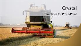  Presentation with carabao in rice field - Presentation theme enhanced with combine harvester in a rice background and a white colored foreground
