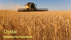  Presentation with wheat - PPT theme enhanced with working in a wheat field background and a tawny brown colored foreground