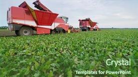  Presentation with red beet root - PPT layouts having combine harvesters harvest of sugar background and a tawny brown colored foreground