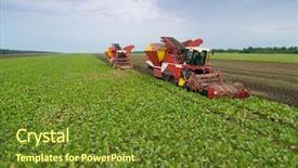  Presentation with harvest - Cool new theme with multi purpose - two red combine harvesters harvest backdrop and a tawny brown colored foreground