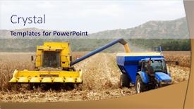  Presentation with maize - Slides with combine-harvesting-maize background and a sky blue colored foreground