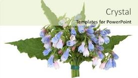  Presentation with herb - PPT theme having comfrey herb leaf and flower background and a soft green colored foreground
