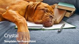  Presentation with sleeping - PPT theme with comic book - dog sleeping in her notebook background and a seafoam green colored foreground
