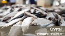  Presentation with oman - Beautiful theme featuring commercial fishing - close up of fish backdrop and a gray colored foreground