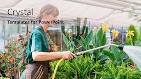  Presentation with commercial - Beautiful presentation theme featuring commercial-gardener-watering-the-flowers backdrop and a soft green colored foreground