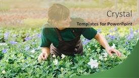  Presentation with commercial - Slide deck with commercial-gardener-with-her-flowers background and a coral colored foreground