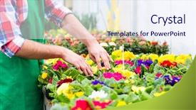  Presentation with nursery newborn child mom nursing - Colorful PPT layouts enhanced with collaborate - candidate - candid picture backdrop and a soft green colored foreground