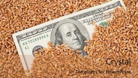  Presentation with agricultural - Cool new slides with commodities - agricultural income concept backdrop and a coral colored foreground