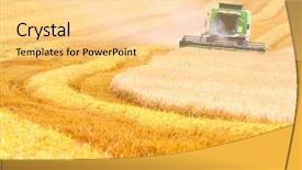  Presentation with commodities - Slides consisting of commodities - combine harvesting wheat background and a blonde colored foreground