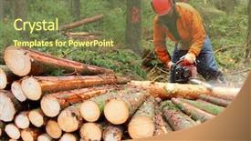  Presentation with forest fantacy - Theme consisting of commodities - lumberjack working in a forest background and a tawny brown colored foreground
