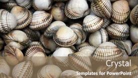  Presentation with market - Beautiful PPT theme featuring common cockles cerastoderma edule backdrop and a coral colored foreground